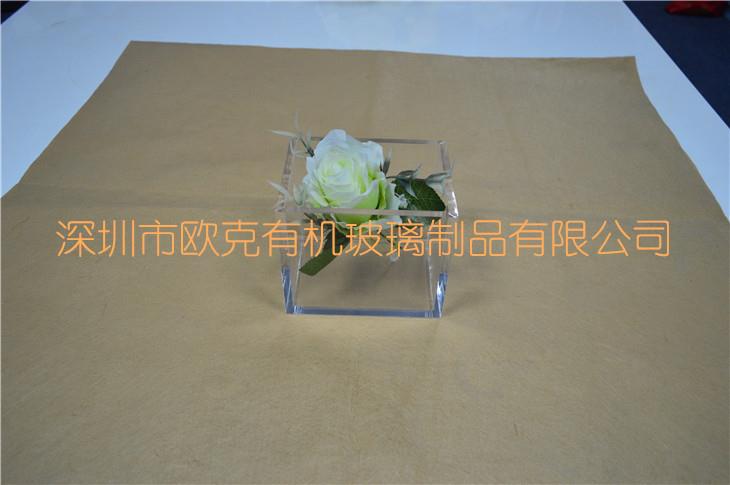 DSC_0201_副本_副本.jpg